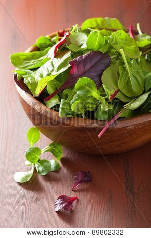 fresh salad leaves in bowl: spinach, mangold, ruccola