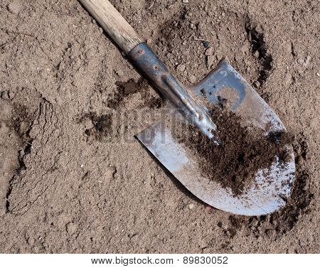 Old dirty shovel on the dry ground