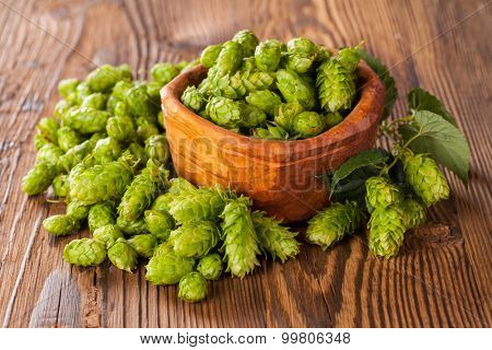 Fresh green hops on a wooden desk, served in bowl