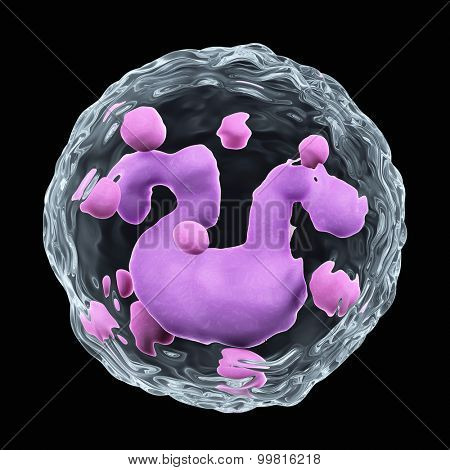 medically accurate illustration of a basophile