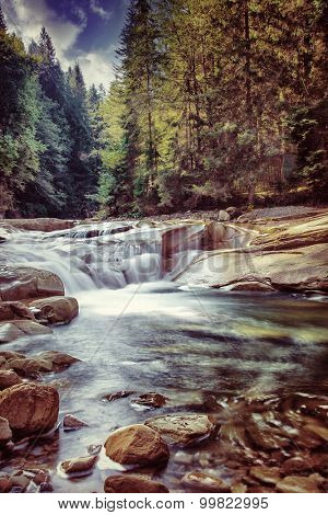 Beautiful waterfall in the forest, fresh falling water between stones in mountainous pine woods, amazing landscape, beauty of Ukrainian nature