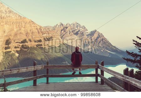 Peyto Lake  in Banff National Park,Canada