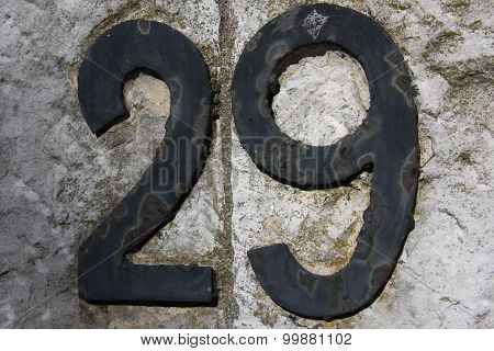 Number 29