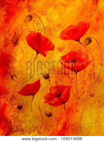Red poppy on color background. Red poppies. Red flower on abstract color background and spots.