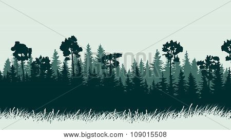 Horizontal Illustration Of Forest With Grass.