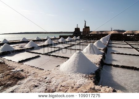 Salt Piles On A Saline Exploration