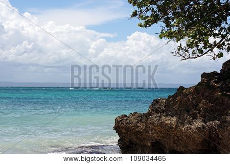 vacation, tropics, sea, palm trees, the sun - a paradise on earth.