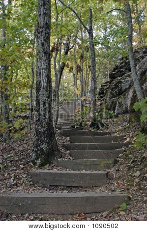 chemin d'escalier 