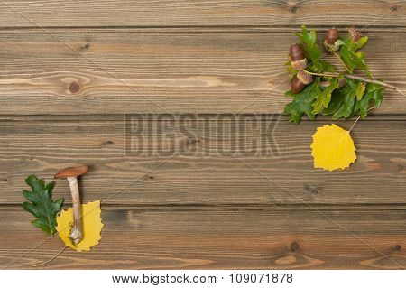 Oak Acorns, Autumn Leaves, Wild Mushroom. Wooden Table. Outdoors