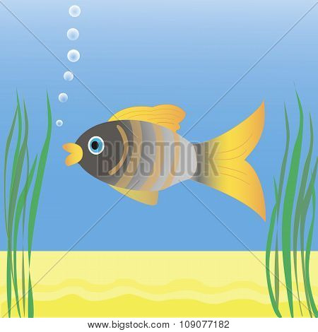 Fish swimming in blue water