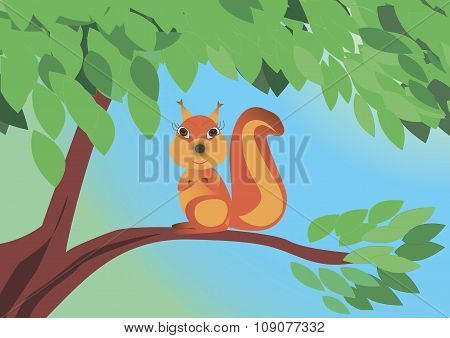 Squirrel sitting on the tree