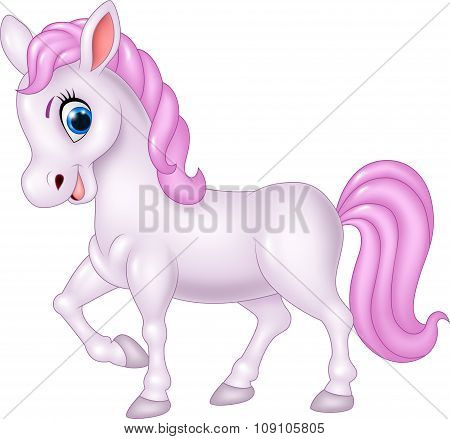 Cute pony horse isolated on white background