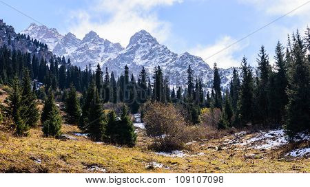 Picturesque mountains