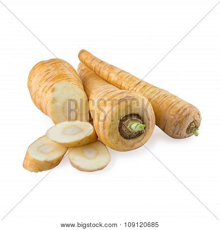 Parsnip Root Vegetable