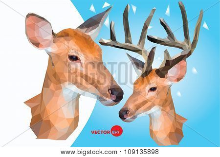 Two Deer, Male And Female Wild Animals,head With Horns
