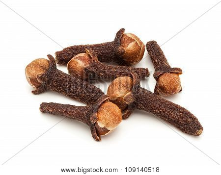Macro closeup of a Organic black clove.