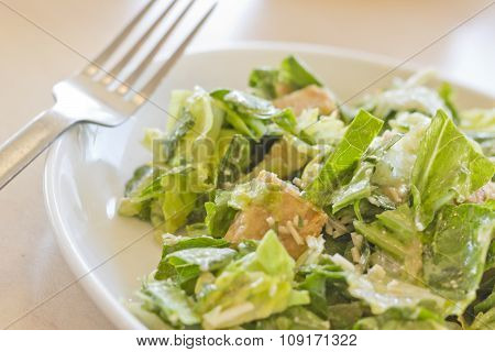 Fresh organic caesar salad with grated asiago cheese