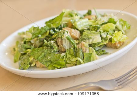 Fresh organic caesar salad with grated asiago cheese