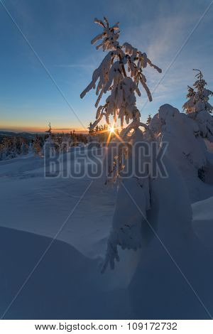 Fantastic orange evening landscape glowing by sunlight. Dramatic wintry scene with snowy trees. Kukul ridge, Carpathians, Ukraine, Europe. Merry Christmas!
