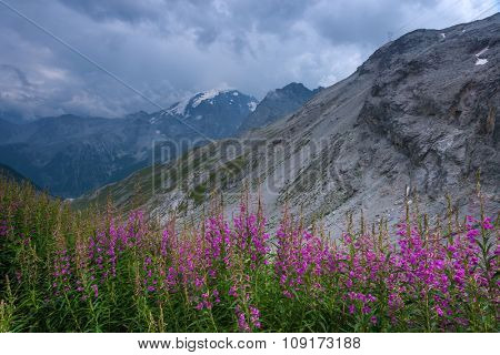 Beautiful view from top of mountain pass. Alps, Europe.