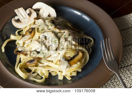 Fancy organic fetuccine pasta with creamy alfredo mushroom sauce