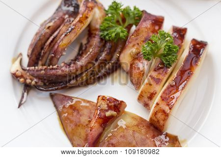 Whole Cooked Squid Calamari