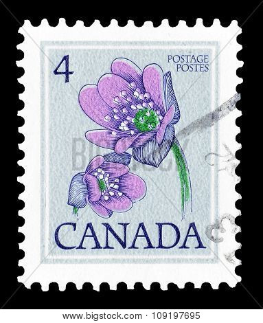1977 Canada