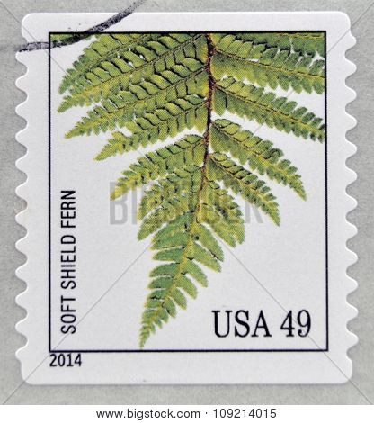 A stamp printed in USA dedicated to Ferns shows soft shield fern circa 2014