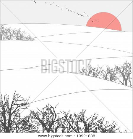 Vinter Sunset