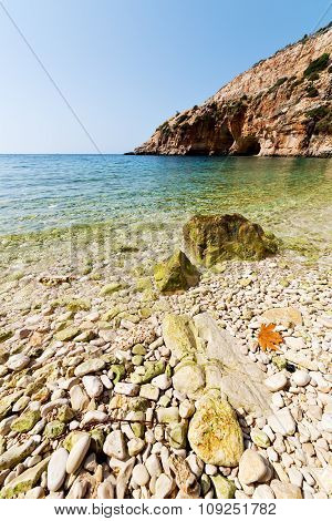 Asia In Thurkey Antalya Lycia   Nature