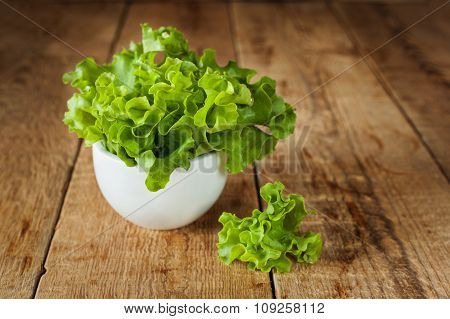 Fresh Green Kale In Ceramic Bowl. Selective Focus.