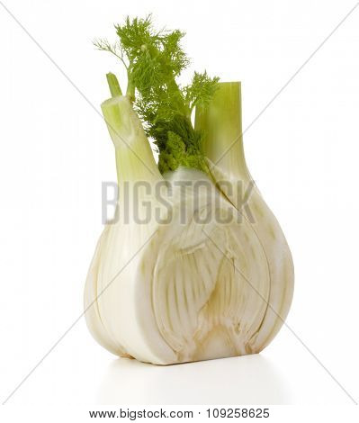 Fresh fennel bulb isolated on white background close up