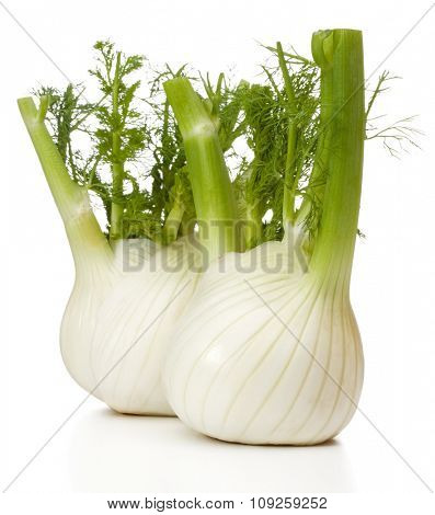Fresh fennel bulb isolated on white background close up