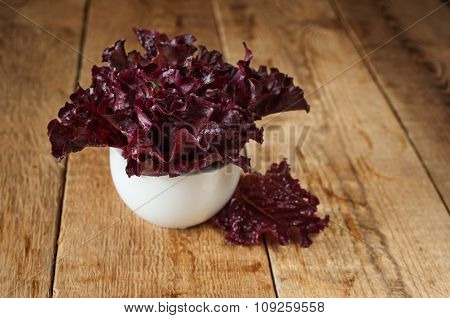 Fresh Red Kale In Ceramic Bowl. Selective Focus.
