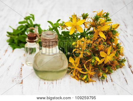 Tutsan Flowers  And Natural Oil