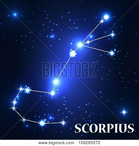 Symbol. Scorpius Zodiac Sign. Vector Illustration.
