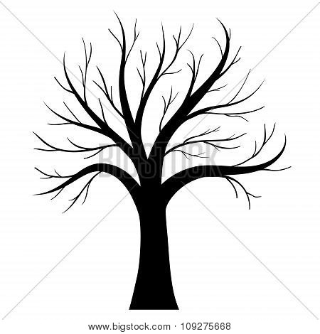 Vector Tree Silhouette