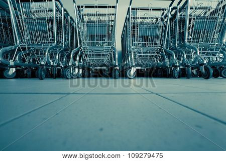 Shopping carts in supermarket in rows ready for consumers