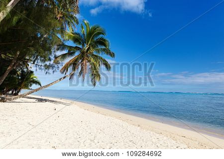 Beautiful tropical beach with palm trees, white sand, turquoise ocean water and blue sky at Cook Islands, South Pacific