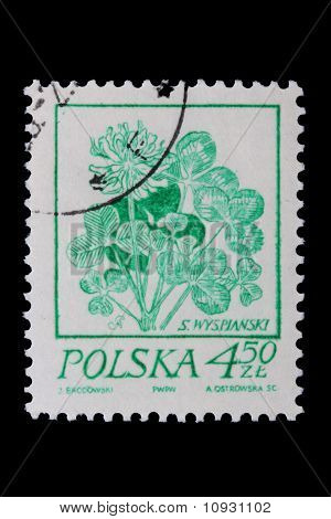 Polen - ca. 1968: Eine Briefmarke - Blume