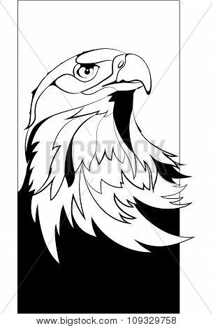 eagle head