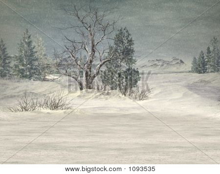 Fundo de Inverno