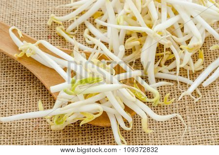 Mung Beans Or Bean Sprouts