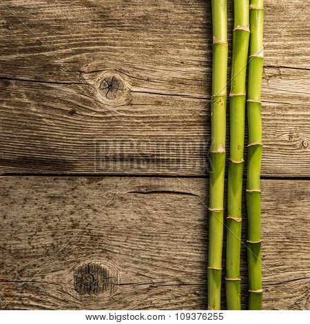 bamboo grove on the wooden baord background