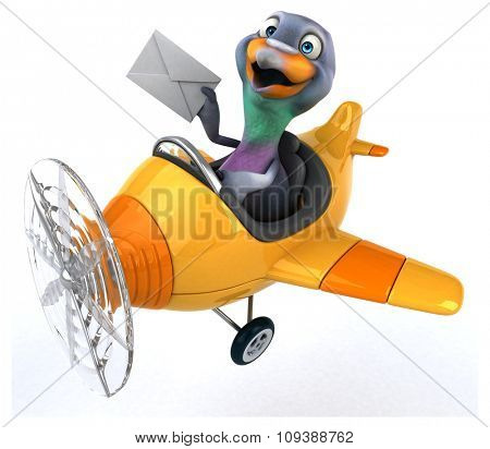 Fun pigeon