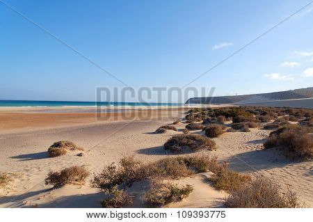 Fuerteventura Beach Scene In The Summer