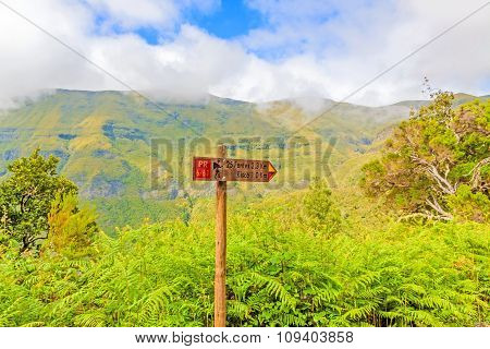 Madeira Hiking, Signpost 25 Fontes, Green Inland Of The Island