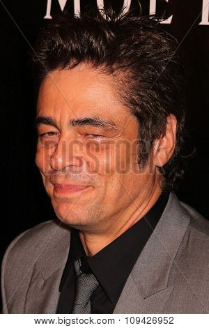 LOS ANGELES - AUG 13:  Benicio Del Toro at the HFPA Hosts Annual Grants Banquet - Arrivals at the Beverly Wilshire Hotel on August 13, 2015 in Beverly Hills, CA