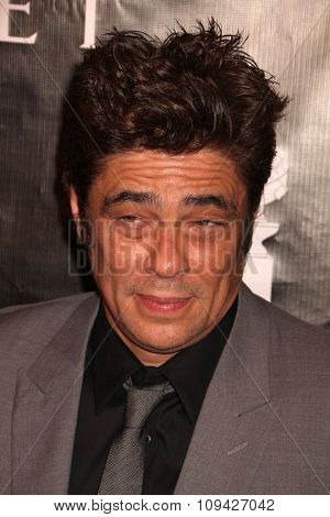 LOS ANGELES - AUG 13:  Benicio Del Toro at the HFPA Hosts Annual Grants Banquet - Arrivals at the Beverly Wilshire Hotel on August 13, 2015 in Beverly Hills, CA