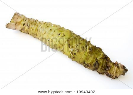Wasabi